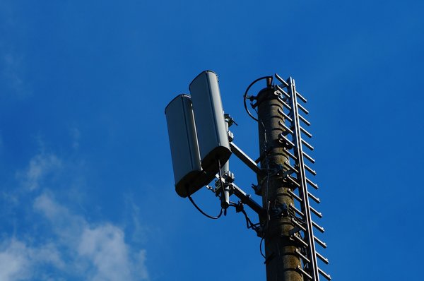 How Can Digital Menus Improve Dining Experience and Reduce Waste?